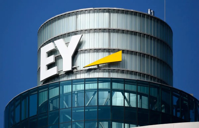 Business Consultant - Technology Consulting EY