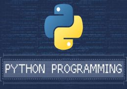 Python Programming (1)