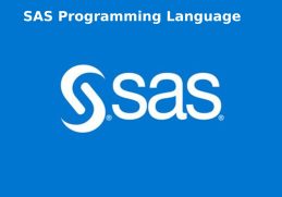 SAS Programming Language