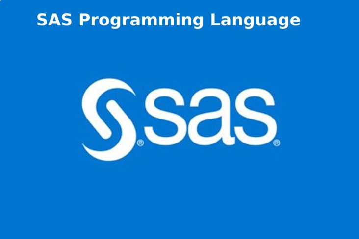 SAS Programming Language