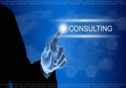Technology Consulting Firms