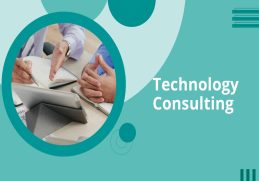 Types of Technology Consulting
