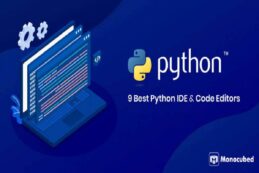 Python Online IDE vs Local IDE